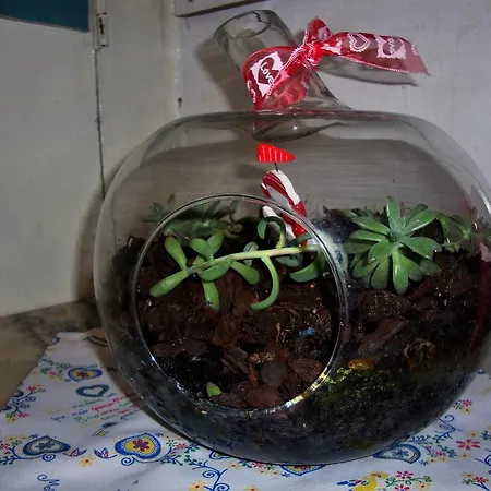 Guest house Bastos